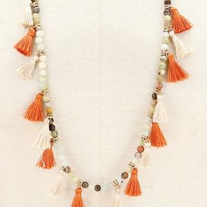 Multi Color Beaded Tassel Long Necklace